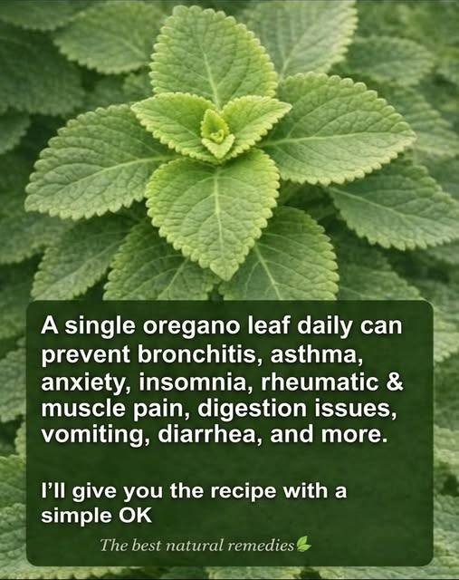 Oregano Remedy